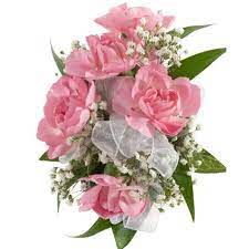 807- Pink Mini carnations Corsage